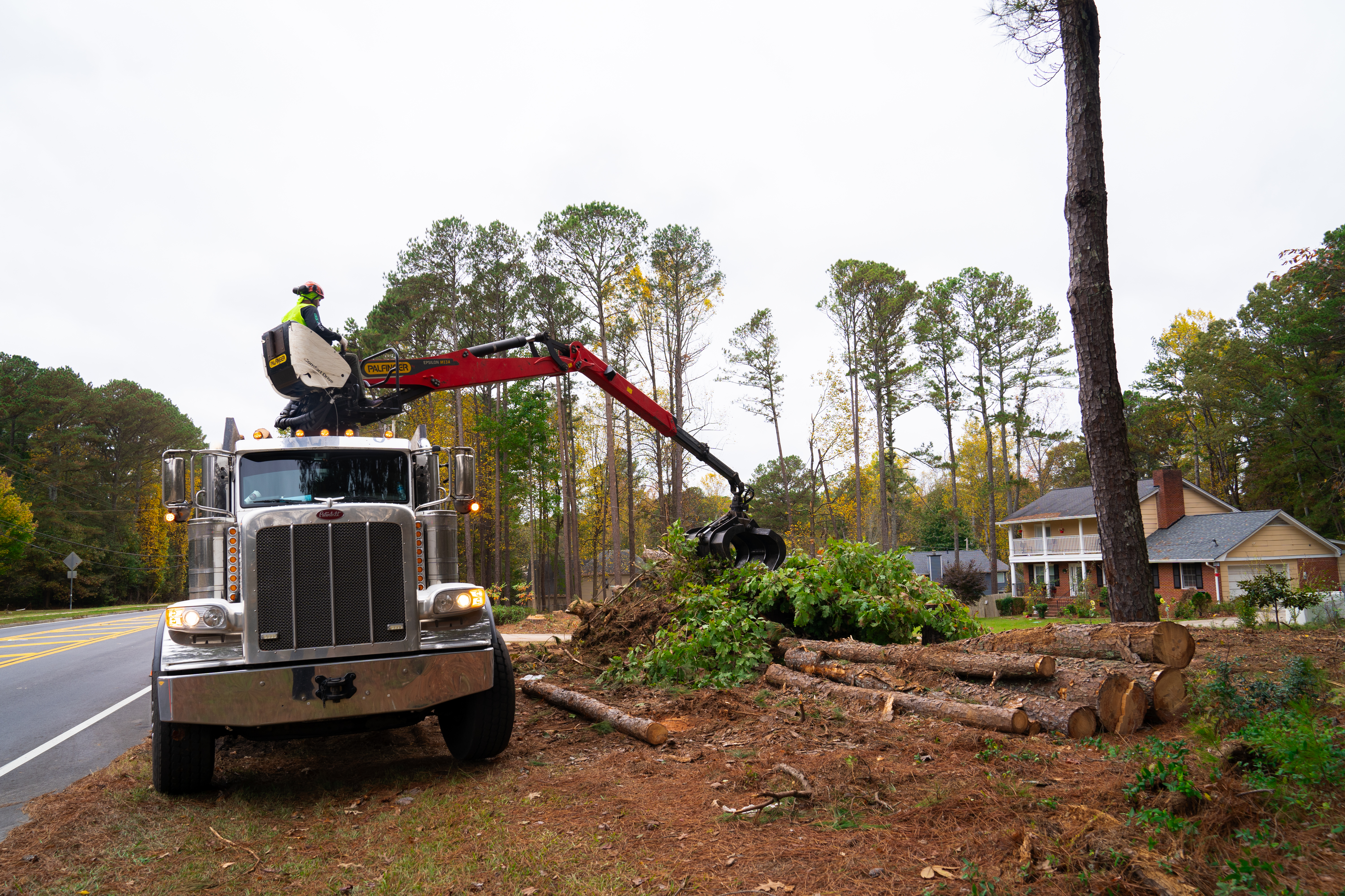 Storm Debris Removal