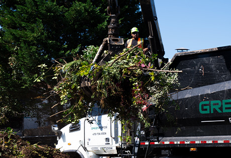 Landscape Debris Removal