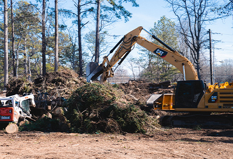 Eliminación de Escombros Causados Por Tormenta