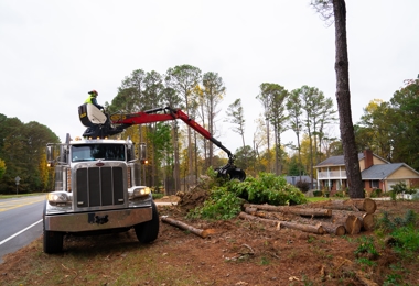 Storm Debris Removal