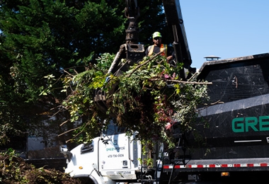 Landscape Debris Removal
